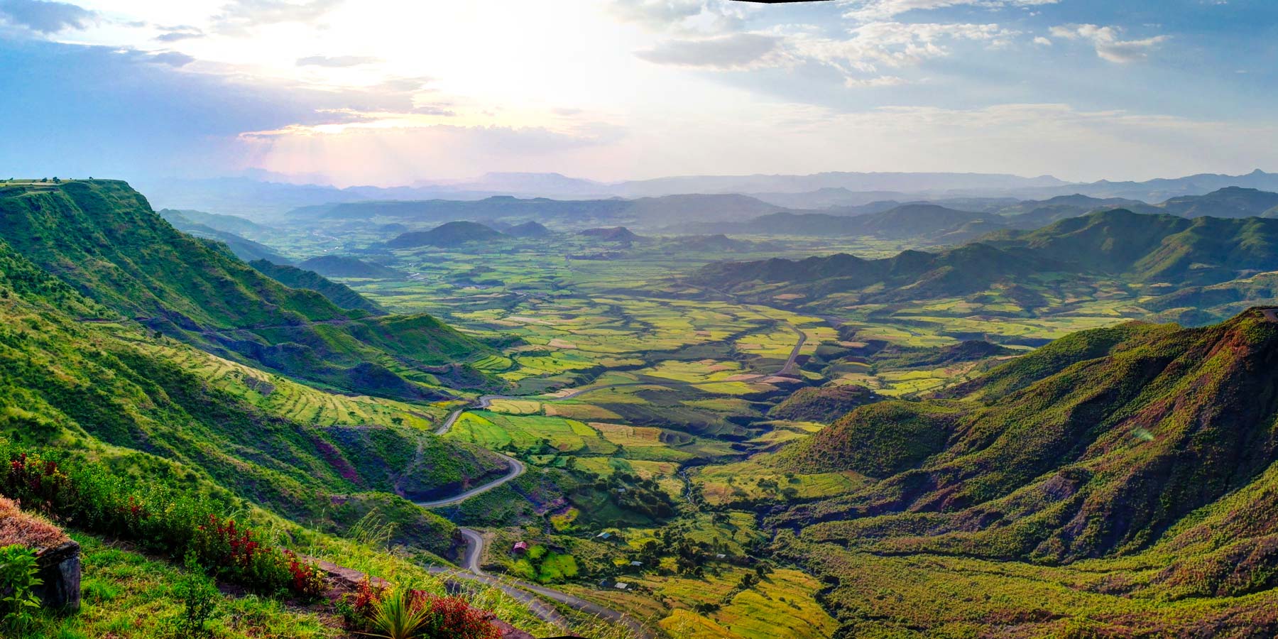 How Altitude affects coffee Quality: The hidden Science behind Elevation and Flavor