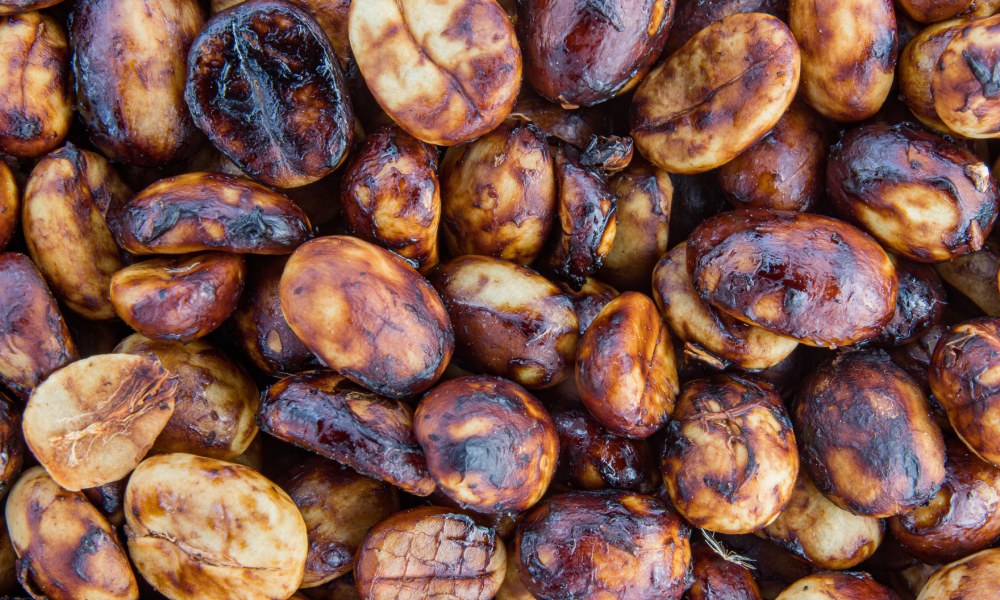 Warum wird Kaffee fermentiert? Entsteht das Aroma wirklich erst durch die Fermentation?