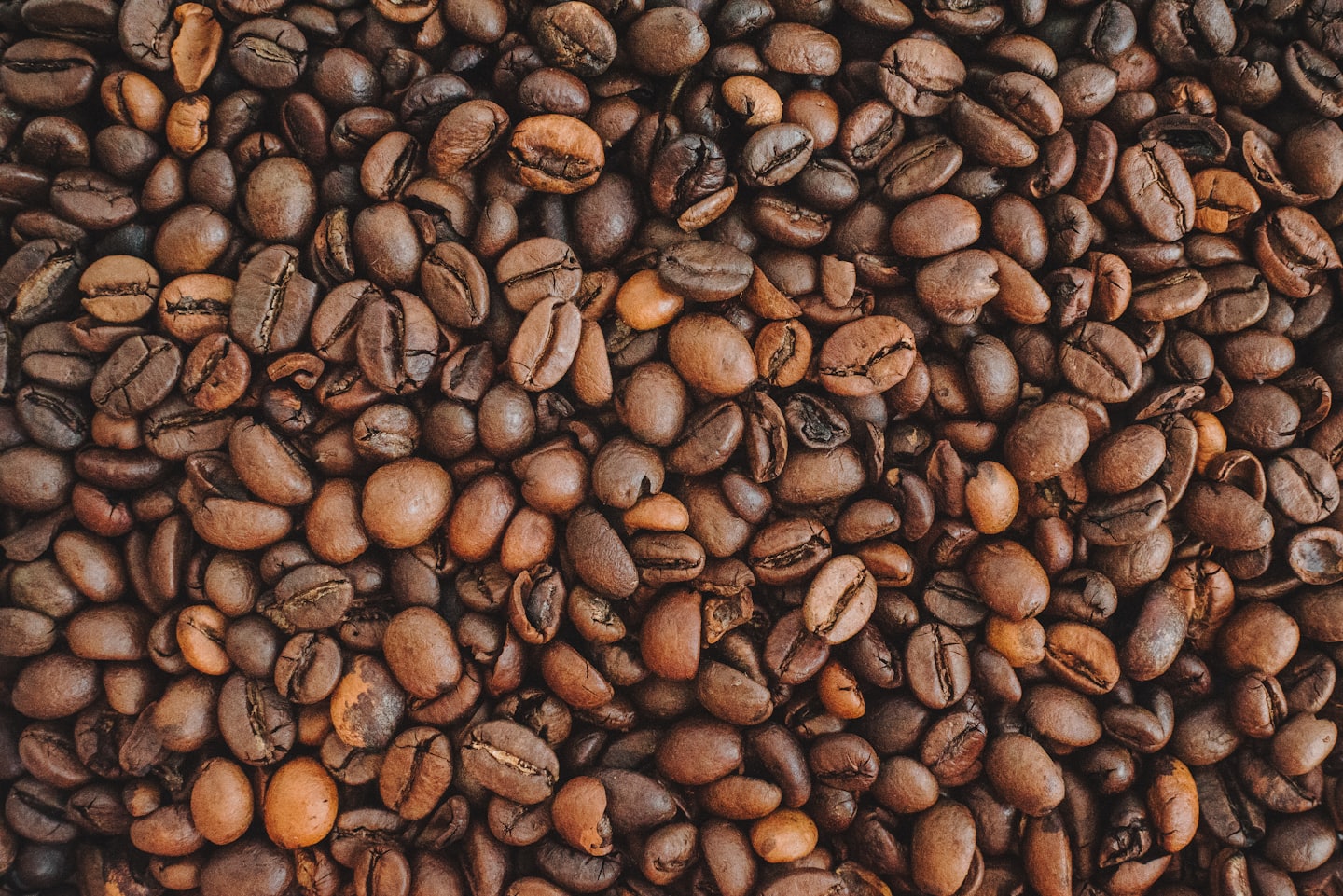 Why fresh-roasted coffee tastes flat (and why it gets better after a few days)