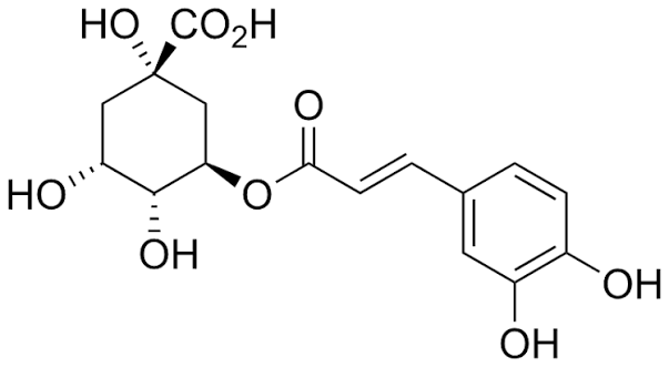 The Health Benefits of CGA and Polyphenols in light roast Coffee – Insights from Dr. Bob Arnot